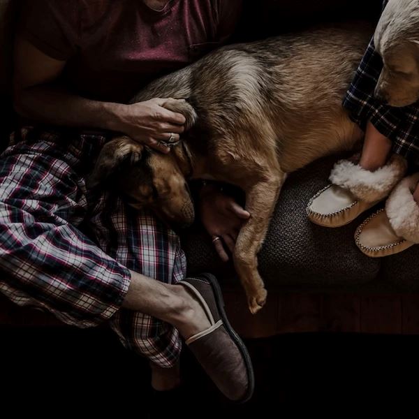 Groundcover Wool Stokkie - Brown Slippers Groundcover