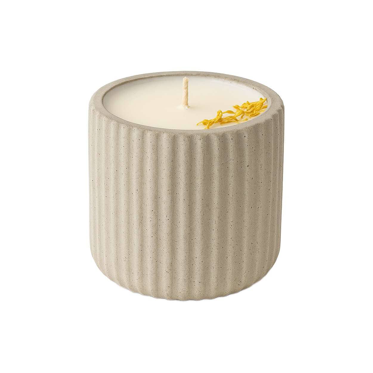 Wick & Stone 170g Scented Artisanal Candle Candles Wick & Stone Lemongrass