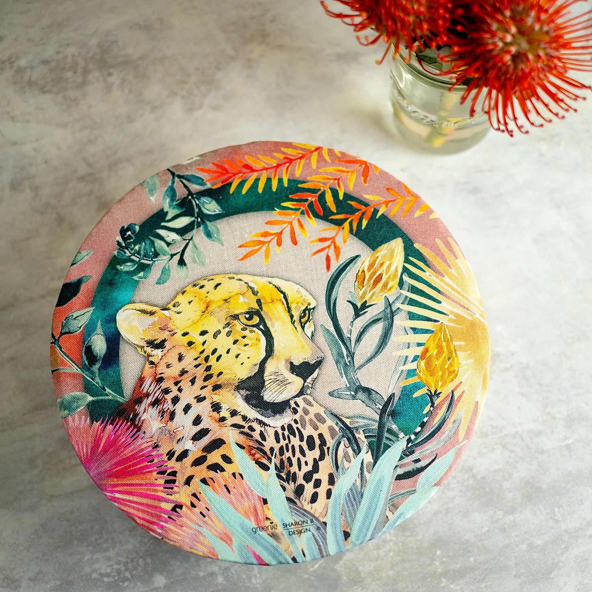 Greenie Food Covers Endangered Species Set of 4 Food Storage Greenie